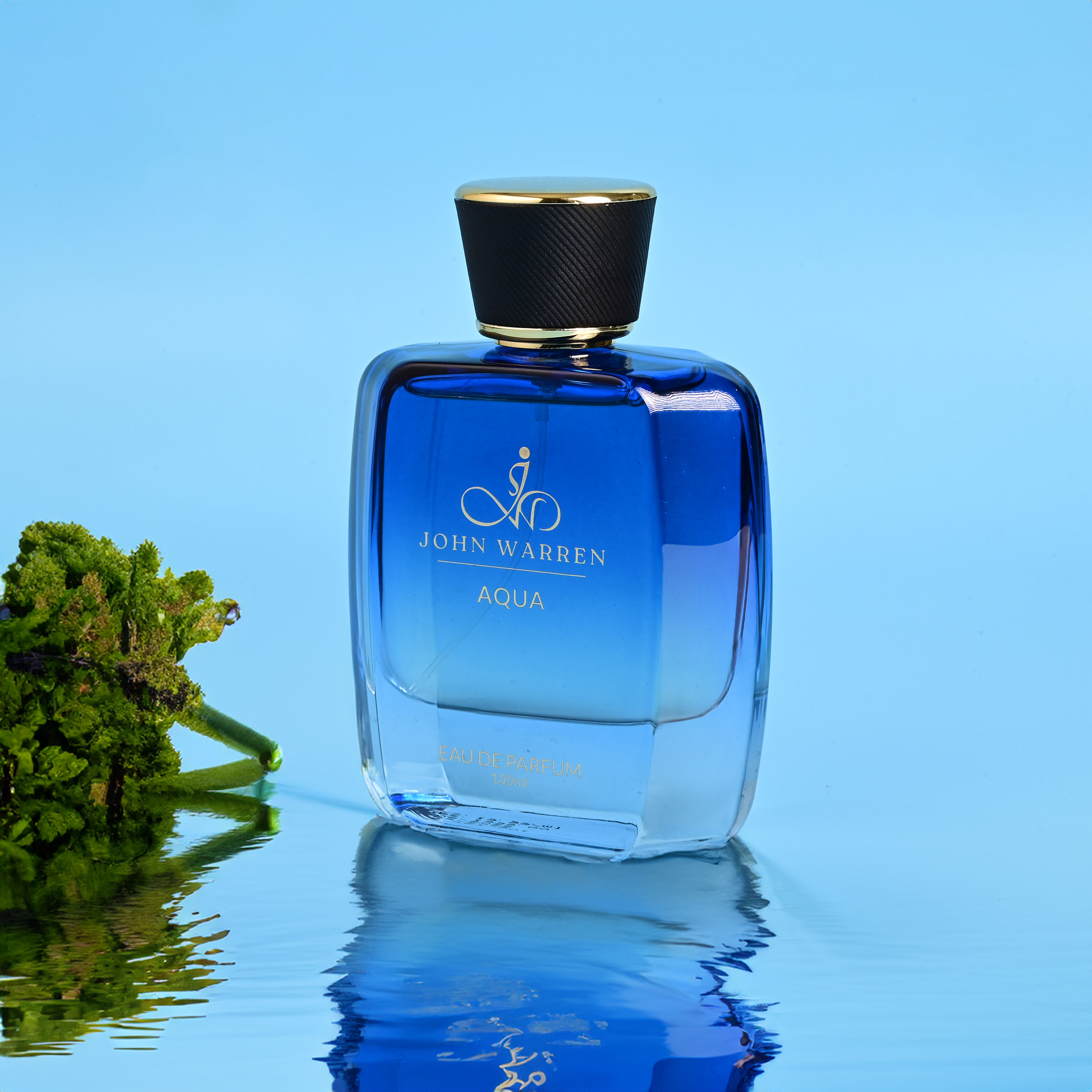 Aqua – Where Freshness Meets Fire